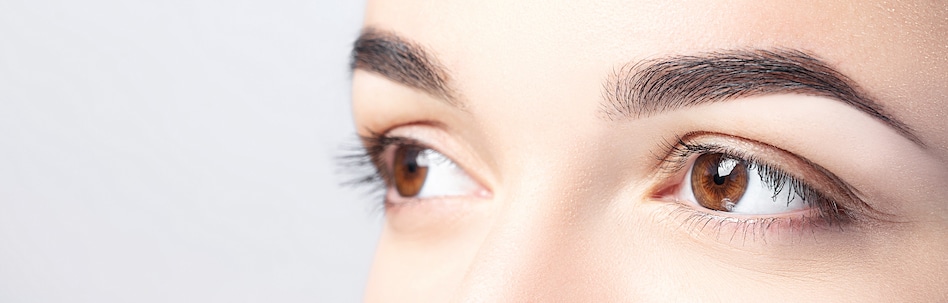 dysport injectable tampa fl